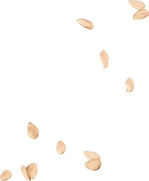Scattered Almondson Teal Background