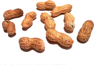 Scattered_ Shelled_ Peanuts