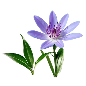 "scent Of Serenity: Beautiful Flower PNG" A