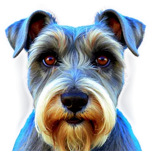 Schnauzer Face Closeup Png Hsg PNG image