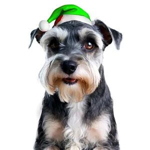 Schnauzer Holiday Greeting PNG 18 PNG