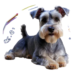 Schnauzer Loyal Companion Png 87 PNG image