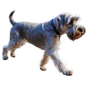 Schnauzer Outdoor Adventure Png 83 PNG image