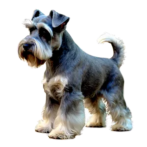 Schnauzer Silhouette Png Dwx11 PNG image