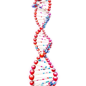 Science Dna Helix Png Bqu PNG image
