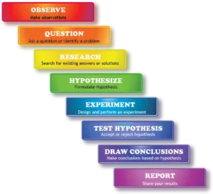 Scientific Method Steps Infographic PNG image