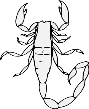 Scorpion_ Line_ Art_ Illustration.png PNG image
