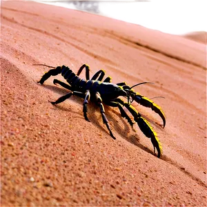 Scorpion On Sand Dune Png Wwu11 PNG image