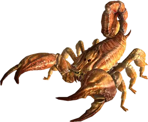Scorpion_ Pose_3 D_ Render PNG image