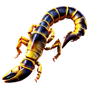 Scorpion Tail PNG 44 PNG