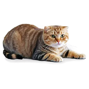 Scottish Fold Cat PNG Dxt46 PNG