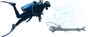 Scuba Diverand Swordfish Encounter PNG image