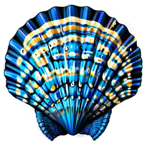 Sea Life Seashell Clipart PNG Naf
