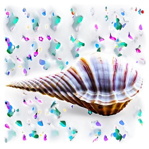 Sea Life Seashell Clipart PNG Noi