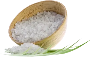 Sea Saltin Bamboo Bowl
