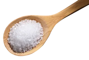 Sea Saltin Wooden Spoon