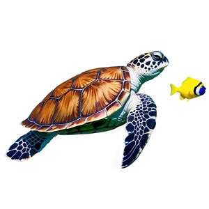 Sea Turtle And Fish Friends PNG 06292024 PNG
