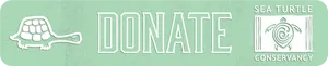 Sea Turtle Conservancy Donation Banner PNG image