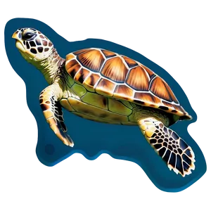 Sea Turtle Conservation Graphic PNG 4