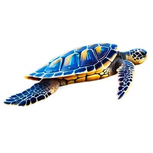 Sea Turtle Conservation Graphic PNG 50 PNG