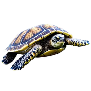 Sea Turtle Conservation Graphic PNG Ljk90 PNG