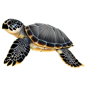 Sea Turtle Conservation Logo PNG Yjy