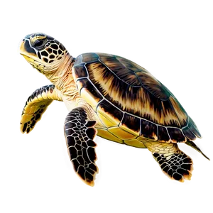 Sea Turtle Eco-friendly Tips Png 05242024 PNG image
