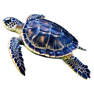 Sea Turtle Eco-friendly Tips Png Bfn PNG image
