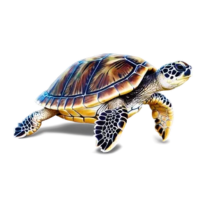 Sea Turtle Eco-friendly Tips Png Qwe PNG image