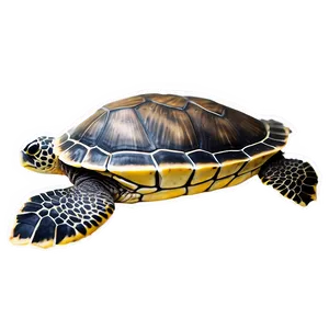 Sea Turtle Environmental Impact Png 05242024 PNG image