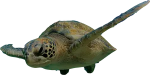 Sea_ Turtle_ Gliding_ Underwater.jpg PNG image