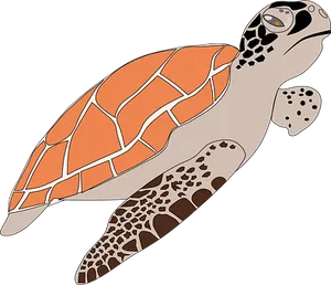 Sea Turtle Illustration PNG image