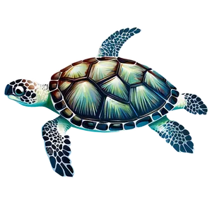 Sea Turtle Moonlight Swim PNG Jol PNG
