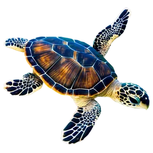 Sea Turtle Ocean Cleanup Png 05242024 PNG image