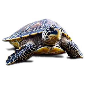 Sea Turtle Rescue Mission Png Awv85 PNG image
