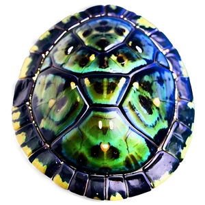 Sea Turtle Shell Texture Close-up PNG 06292024 PNG