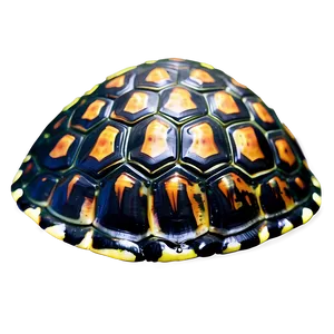 Sea Turtle Shell Texture Close-up PNG 69 PNG