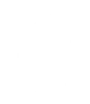 Sea Turtle Silhouette Graphic PNG image