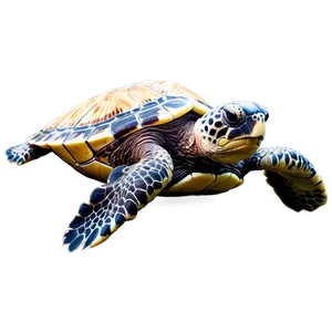 Sea Turtle Survival Challenge Png Skd PNG image