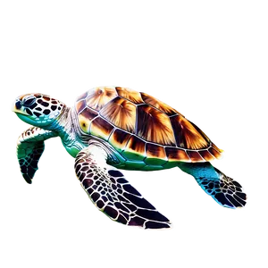 Sea Turtle Swimming Png 65 PNG image