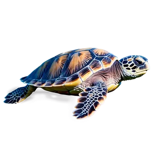 Sea Turtle Swimming Png 84 PNG image