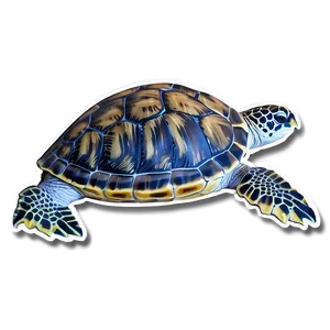 Sea Turtle Tracking Info Png Ebr PNG image
