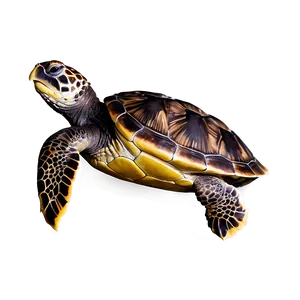 Sea Turtle Under Starry Night Sky PNG Dpi PNG