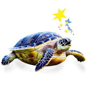 Sea Turtle Under Starry Night Sky PNG Ysd95 PNG