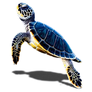 Sea Turtle Wildlife Photography Png Axx43 PNG image