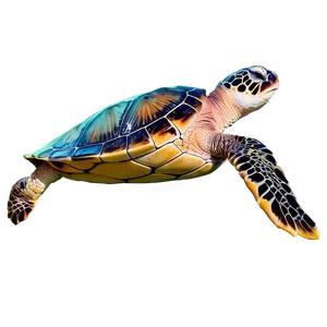 Sea Turtle With Coral Reef Png 85 PNG image