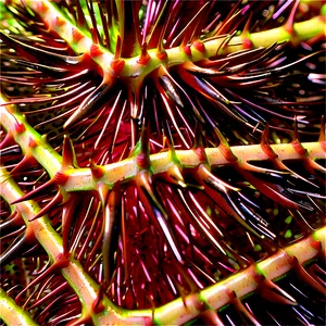 Sea Urchin Spikes Close-up PNG 06122024 PNG