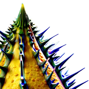 Sea Urchin Spikes Close-up PNG 14 PNG