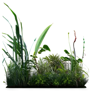 Seagrass Landscape Png Ouo PNG image