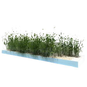 Seagrass Meadow Png 73 PNG image